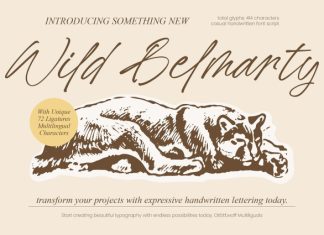 Wild Belmarty Font preview image 1