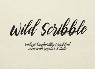 Wild Scribble Font preview image 1