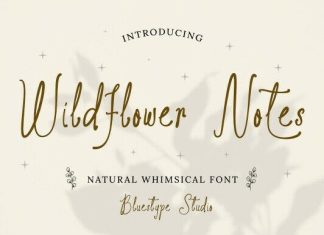 Wildflower Notes Font preview image 1
