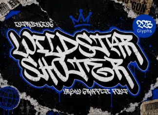Wildstar Shoter Font preview image 1