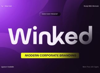 Winked Font preview image 1