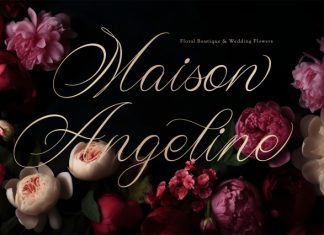 Wistallion Font preview image 2