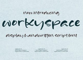 Worky Space Font preview image 1