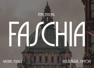 Faschia Font preview image 1