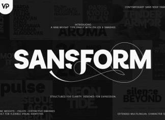 Sansform Font preview image 1