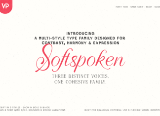 Softspoken Script Font preview image 1