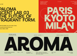 Sansform Font preview image 2