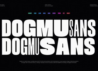 TBJ Dogmu Font preview image 1