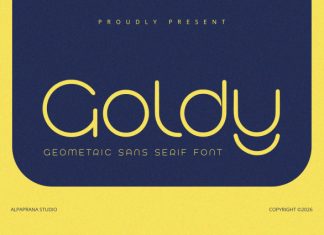 Goldy – Sans Serif Font preview image 1