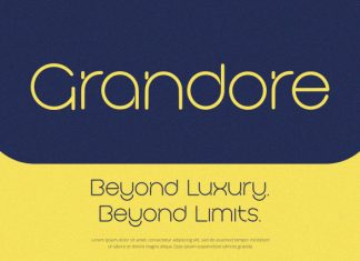 Goldy – Sans Serif Font preview image 2