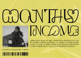 Across Regions – Groovy Serif Font preview image 3
