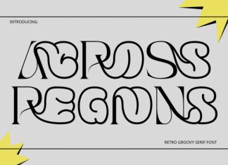 Across Regions – Groovy Serif Font preview image 1