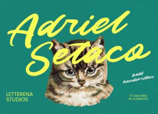Adriel Setaco – Bold Handwritten Font preview image 1