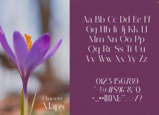 Alunas Font preview image 2