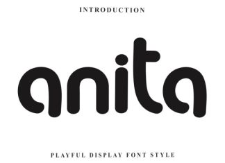 Anita Font preview image 1