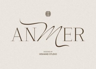 Anmer Elegant Font preview image 1