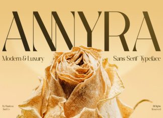 Annyra – Modern Luxury Sans Serif Font preview image 1