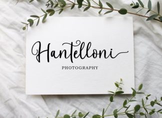 Antalia Elegant Calligraphy Font preview image 2