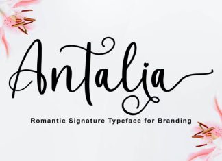 Antalia Elegant Calligraphy Font preview image 1