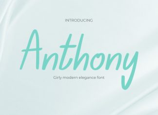 Anthony Font preview image 1