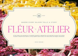 Aresto – Modern Elegant Serif Font preview image 2