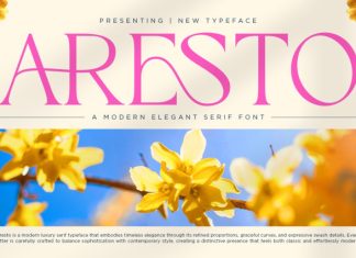 Aresto – Modern Elegant Serif Font preview image 1