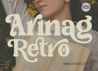 Arinag – Retro Serif Font preview image 1