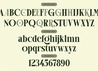 Arogel – Ligature Serif Font preview image 2