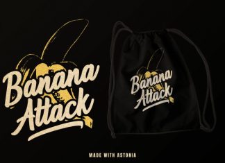 Astonia – Bold Script Font preview image 3