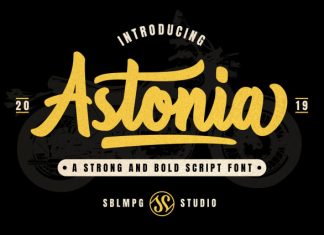 Astonia – Bold Script Font preview image 1