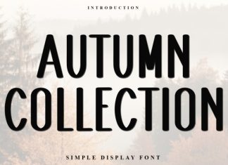 Autumn Collection Font preview image 1