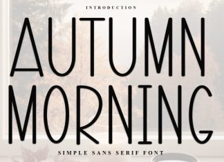 Autumn Morning Font preview image 1