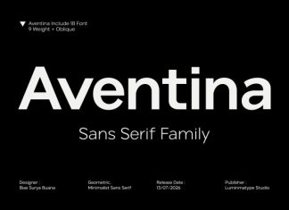 Aventina Thin Font preview image 1