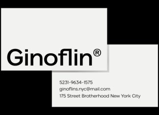 Aventina Thin Font preview image 2