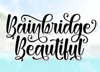 Bainbridge Beautiful Font preview image 1
