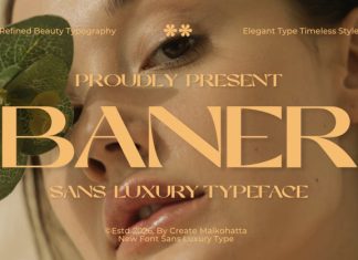 Baner – Sans Luxury Typeface Font preview image 1