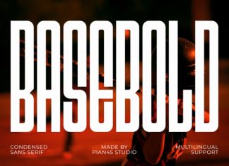 Basebold – Condensed Sans Serif Font preview image 1