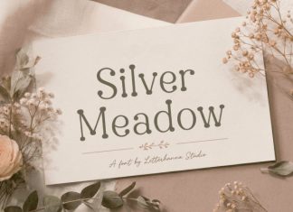 Beadcharm Only Font preview image 3