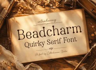 Beadcharm Only Font preview image 1