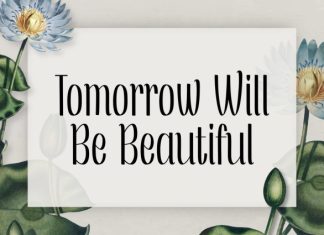 Beautiful Mellinda Font preview image 3