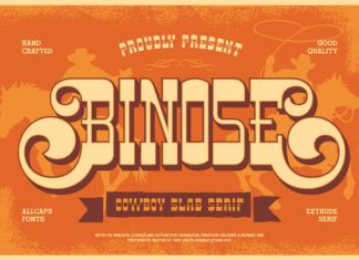 Binose Font preview image 1