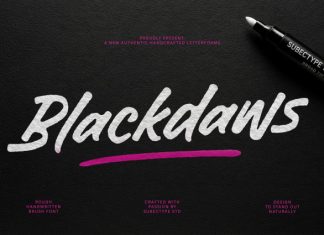 Blackdaws – Rough Handwritten Font preview image 1