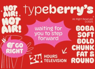 Boba Demo Font Family preview image 2