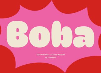 Boba Demo Font Family preview image 1