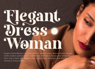 Bogent – Beautiful Retro Serif Font preview image 3