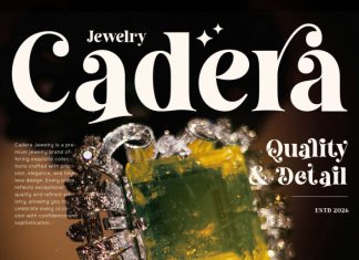 Bogent – Beautiful Retro Serif Font preview image 2