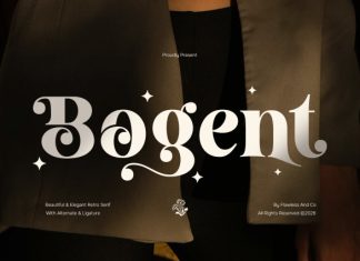 Bogent – Beautiful Retro Serif Font preview image 1