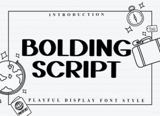 Bolding Script Font preview image 1