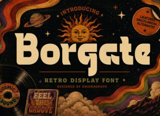 Borgate Demo Font preview image 1