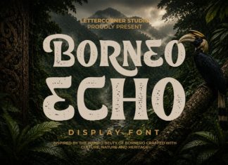 Borneo Echo Font preview image 1